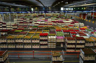 WMS replacement - warehouse WMS replacement - warehouse